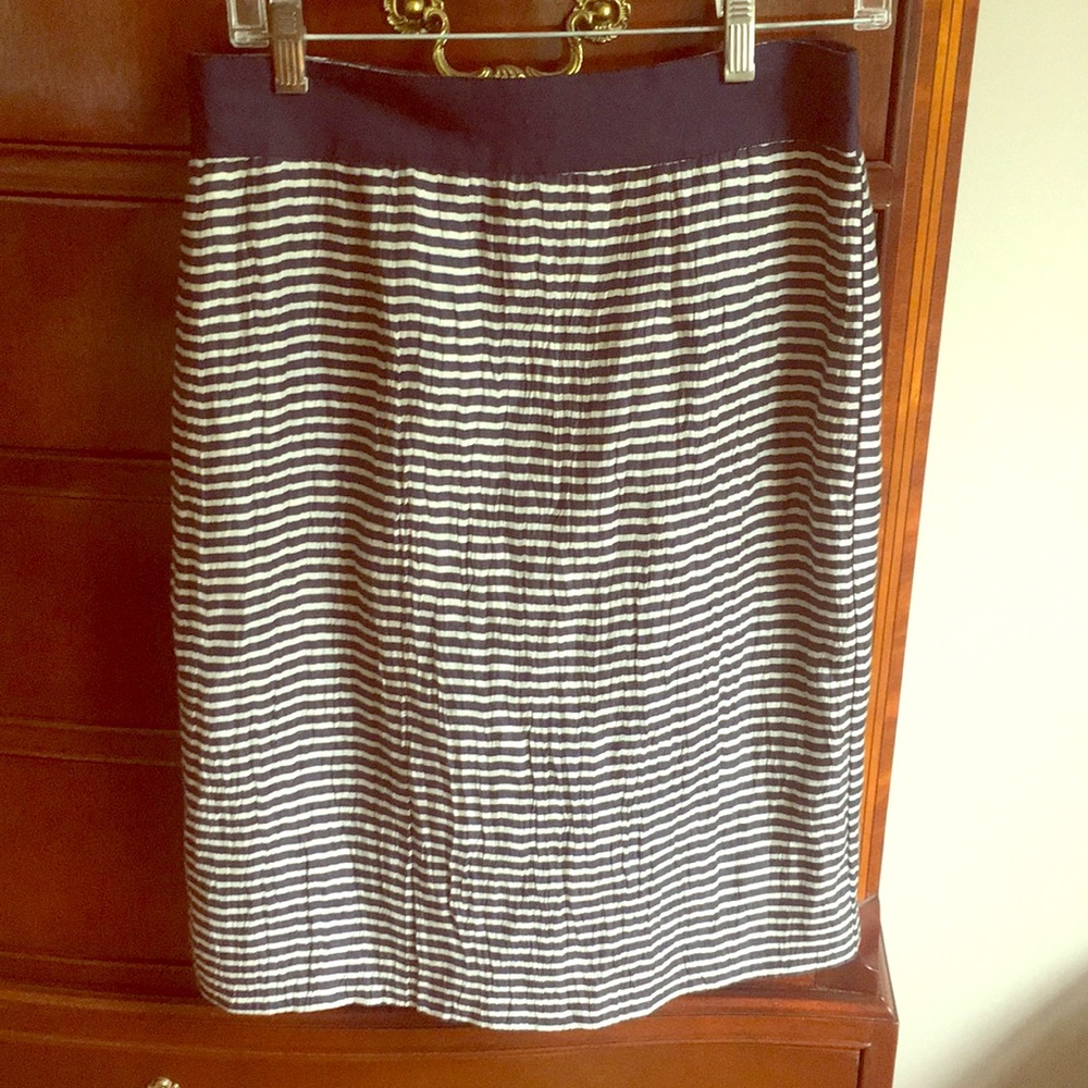Ann Taylor Loft Skirt